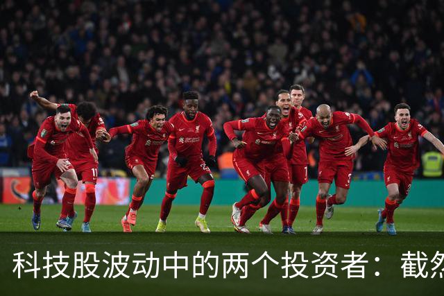 科技股波动中的两个投资者：截然不同的命运